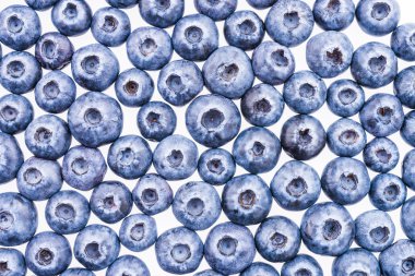 Mavi olgun yaban mersini