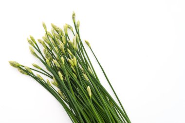 sarımsak chives