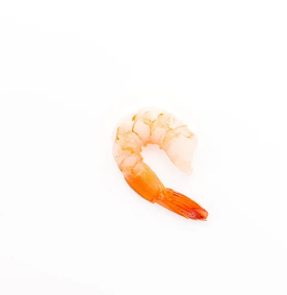 Crevettes isolées sur blanc — Photo