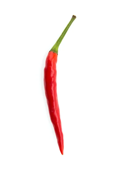 Chilli isolado em branco — Fotografia de Stock