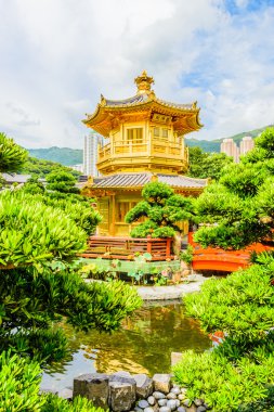 Altın Çin Pavyonu hong kong park 