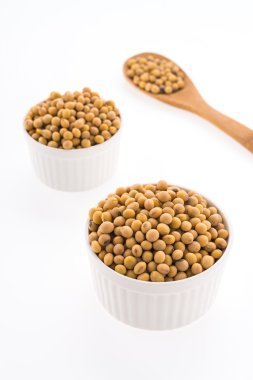 sağlıklı soya