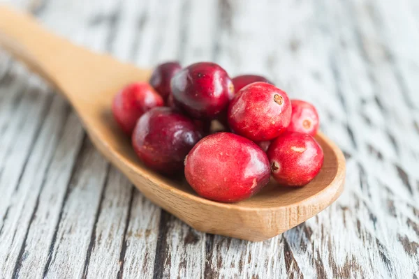 Frische Preiselbeere — Stockfoto