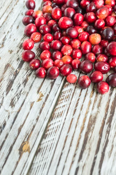 Fresh cranberry — Stock Photo, Image