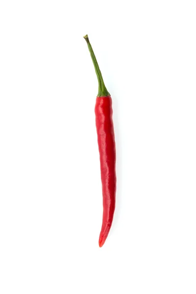 Chilli isolado em branco — Fotografia de Stock