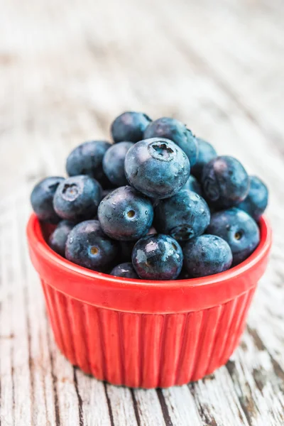 Blueberry — Stock Photo, Image