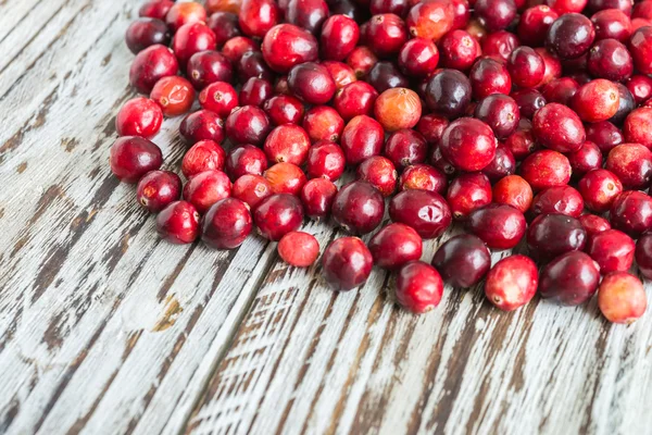 Cranberry — Stock Photo, Image