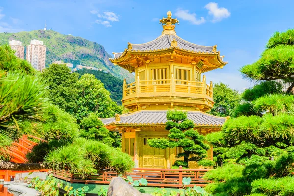 Pavilhão chinês de ouro no parque de Hong Kong — Fotografia de Stock