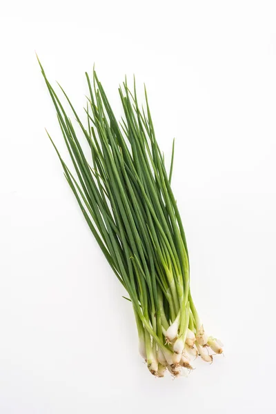 Spring onion isolated on white background — Stock Photo, Image