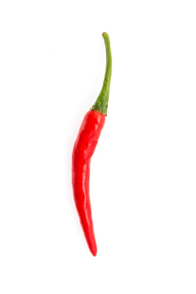 Chilli isolado em branco — Fotografia de Stock