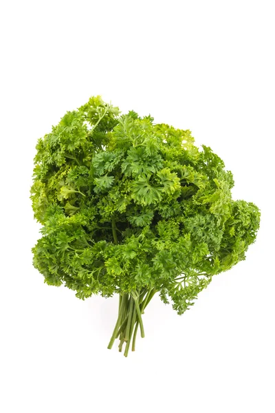 Parsley — Stock Photo, Image