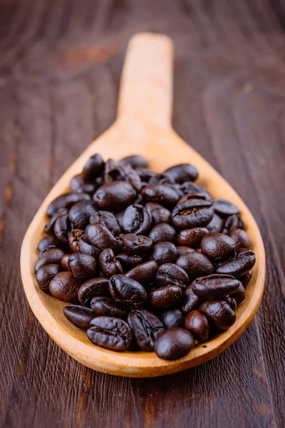 Coffee beans — Stock Photo, Image