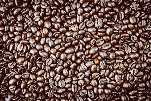 Coffee beans — Stock Photo, Image