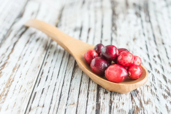 Cranberry — Stock Photo, Image