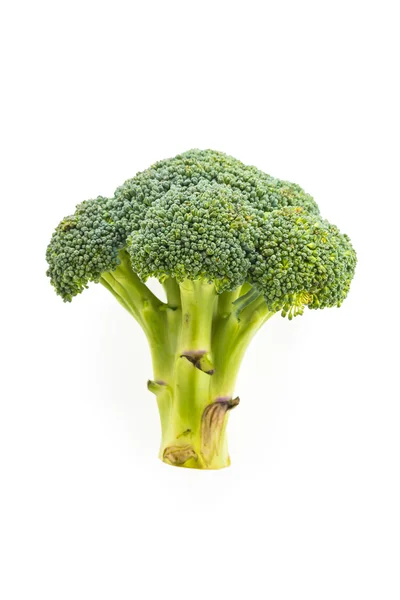 Broccoli isolerad på vit bakgrund — Stockfoto