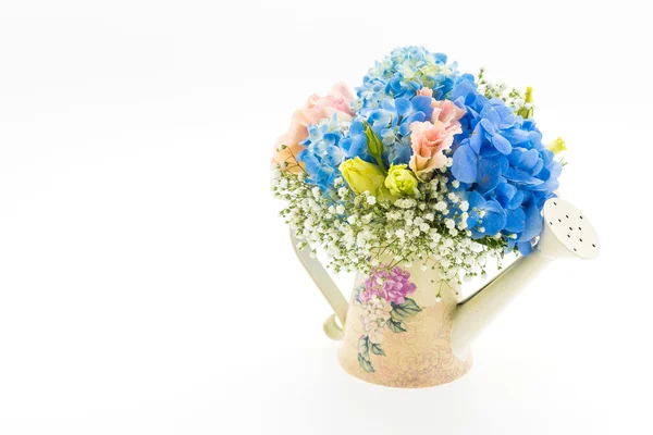 Bukiet hortensji kwiat na białym tle — Zdjęcie stockowe