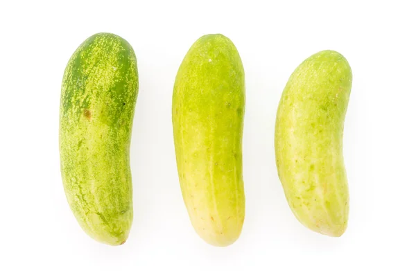 Pepino — Foto de Stock