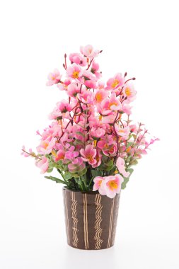 Beyaz arka plan üzerinde izole vazo çiçeği