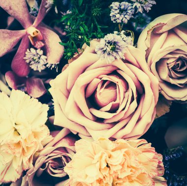 çiçek arka planlar