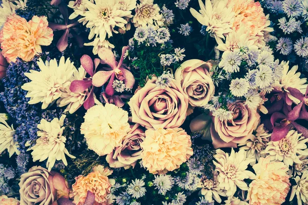 Blumenhintergründe — Stockfoto