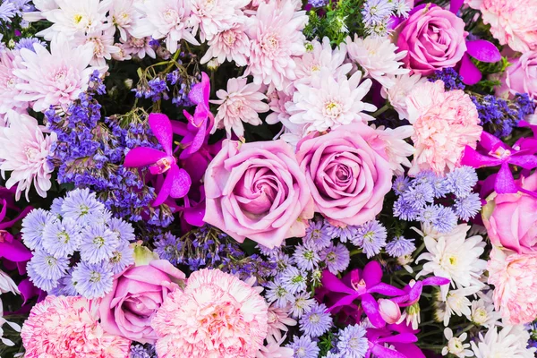 Flower backgrounds — Stock Photo, Image