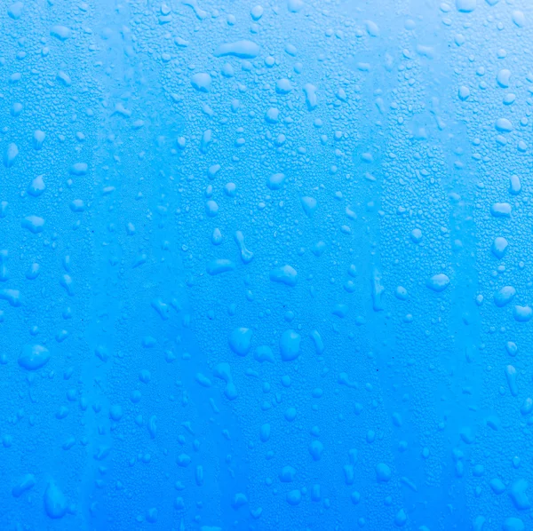 Gotas de agua de transpiración —  Fotos de Stock