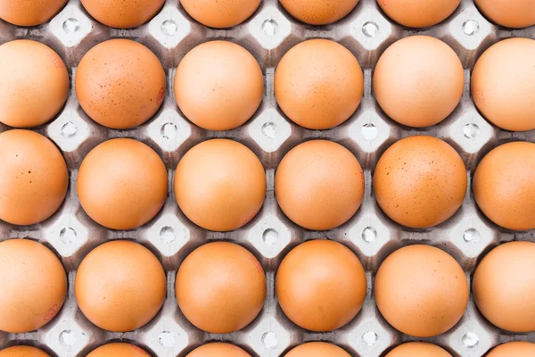 Brown eggs in carton — Stock Photo, Image