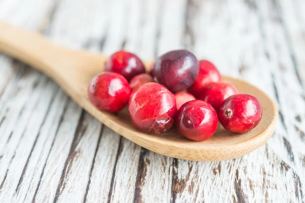 Cranberry — Stock Photo, Image