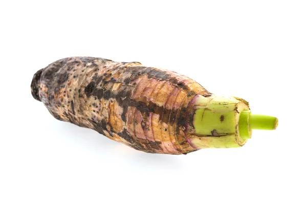 Taro root isolated on white background — Stock Photo, Image