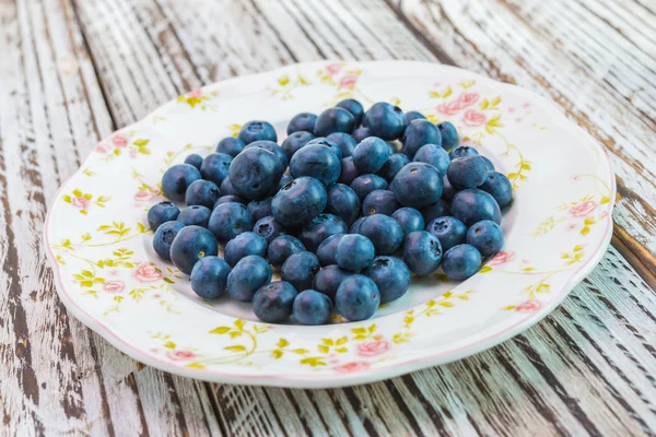 Blueberry schotel — Stockfoto