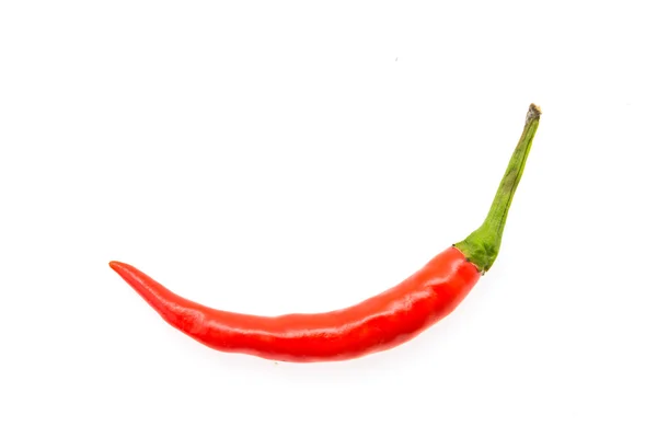 Chilli isolated on white — Stock Photo, Image