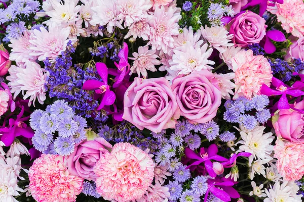 ดอกไม้หลากหลายสีสัน — ภาพถ่ายสต็อก