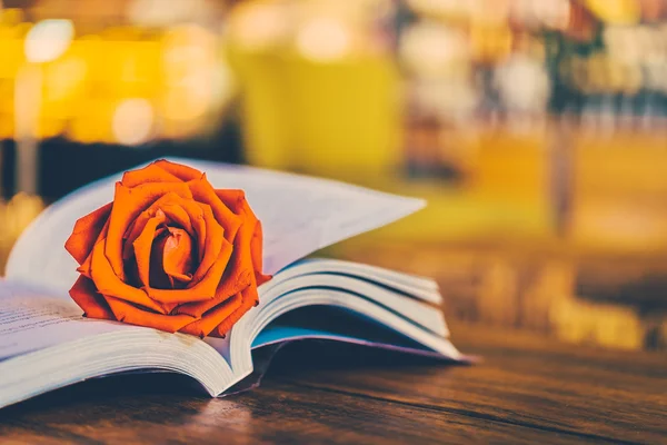 Bella Rosa sul libro — Foto Stock