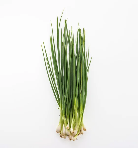 Spring onion isolated on white background — Stock Photo, Image