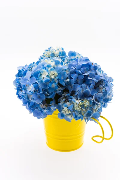 Bouquet di fiori ortensia — Foto Stock