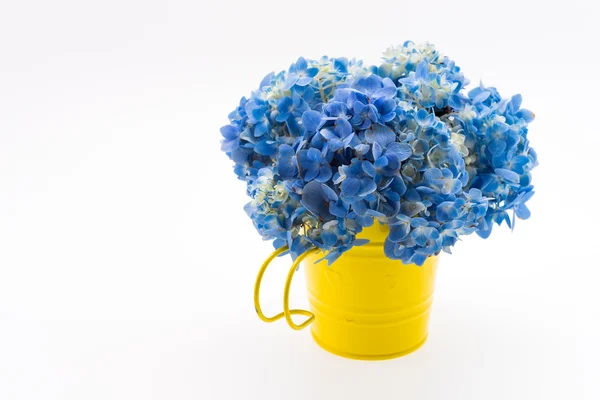 Hydrangea flower bouquet — Stock Photo, Image