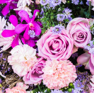 Renkli doğa çiçek