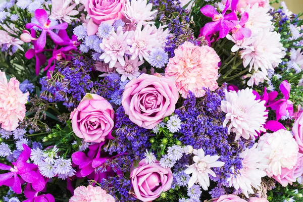 Flores coloridas fundos — Fotografia de Stock