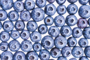 taze yaban mersini doku