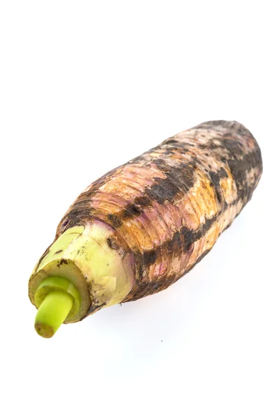 Fresh taro root — Stock Photo, Image