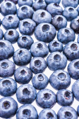 taze yaban mersini doku