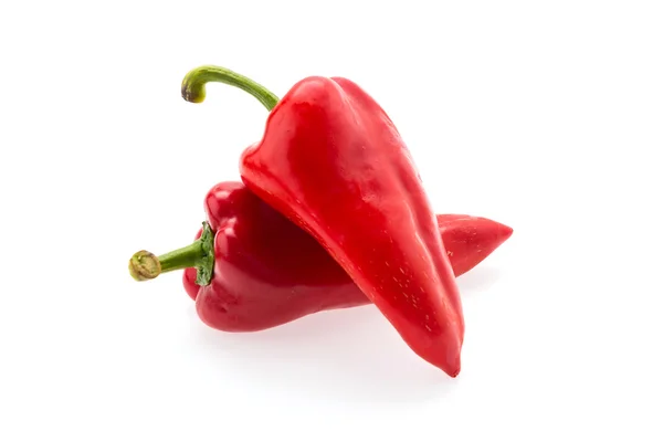 Red chilli isolated on white — Stock Photo, Image