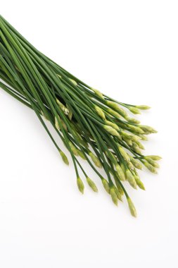 Yeşil sarımsak chives