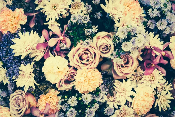 Fundos de flores — Fotografia de Stock