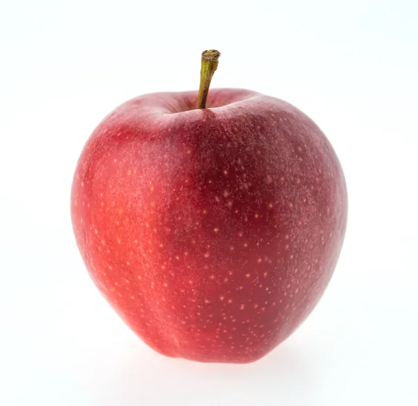 Apfel — Stockfoto