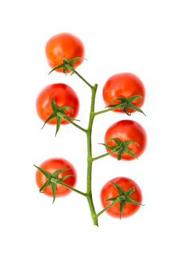 Kiraz domates Şubesi