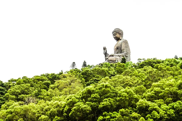 Ağaçlar üzerinde Buda heykeli — Stok fotoğraf