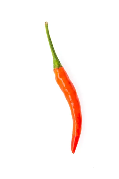 Red chilli pepper — Stock Photo, Image