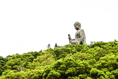Hong Kong'da Buda
