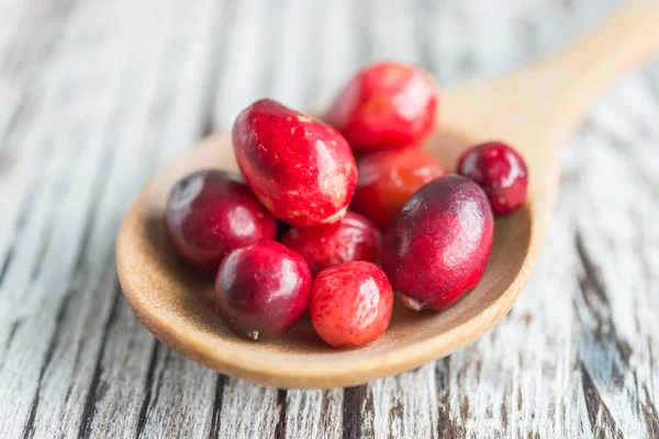 Rote reife Preiselbeere — Stockfoto